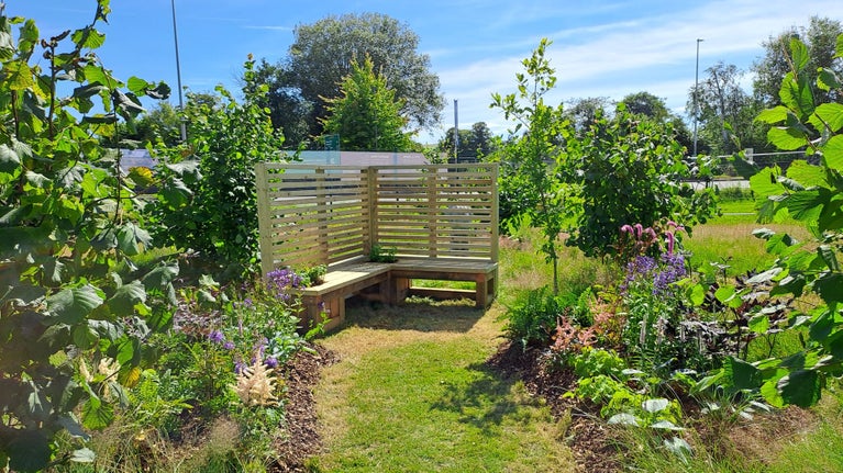 View of the wellbeing garden created for the Royal Welsh Show in 2024 and designed by National Trust Cymru gardeners.